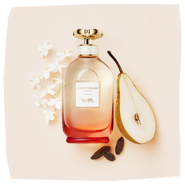 nuoc-hoa-coach-chinh-hang-coach-dreams-sunset-edp-90ml-japansport