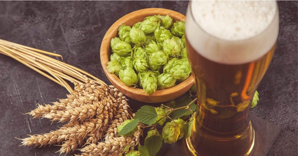 KháI niệm bia craft (craftbeer) và bia thủ công là gì? – iBiero Craft Beer