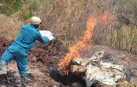 Kỹ thuật tiêu hủy bắt buộc động vật mắc bệnh