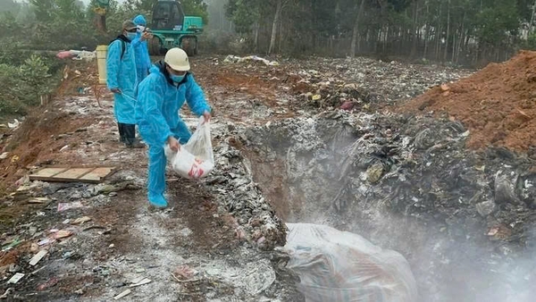 chôn lấp xác động vật
