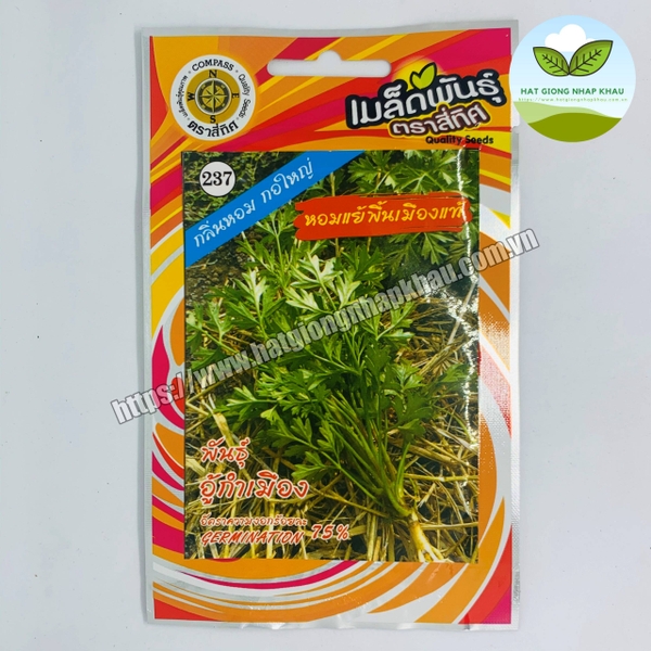 Hạt giống ngải cứu Thái Lan. 50 hạt/gói