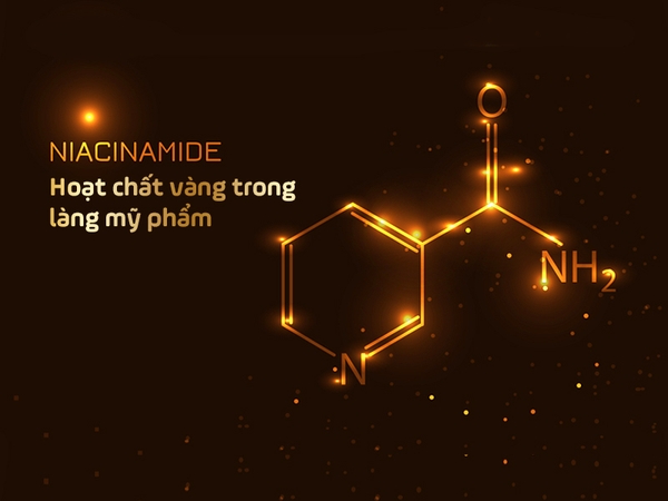 Niacinamide - Hoạt chất vàng trong làng mỹ phẩm | SEOULGROUP