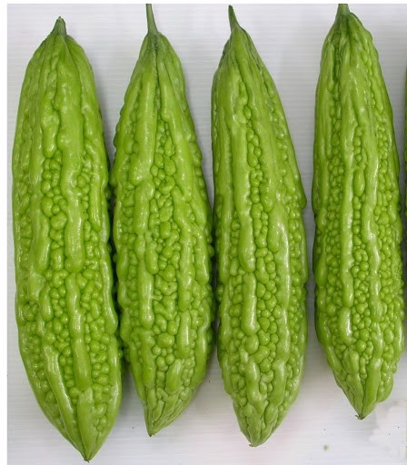 hn-giong-kho-qua-trai-dai-f1-hn-285-1gr