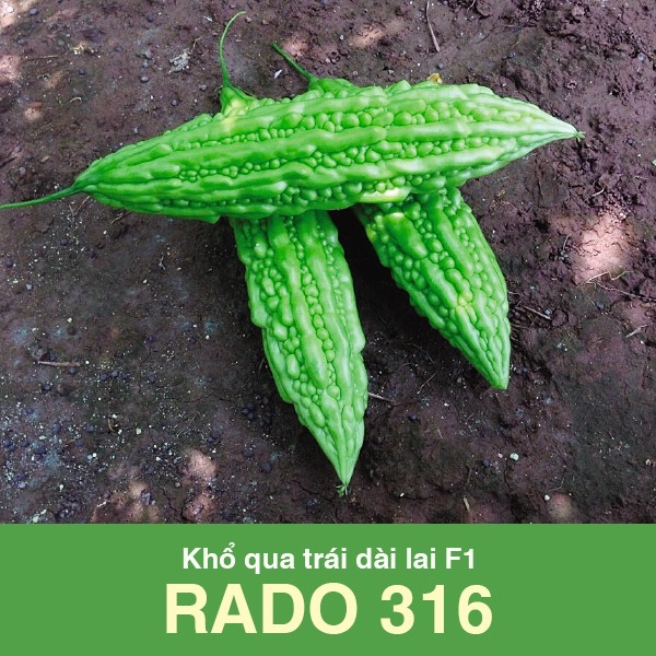 rd-kho-qua-trai-dai-rado-316-2g