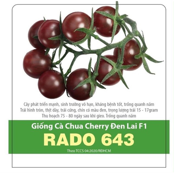 rd-ca-chua-cherry-den-lai-f1-rado-643-0-1g