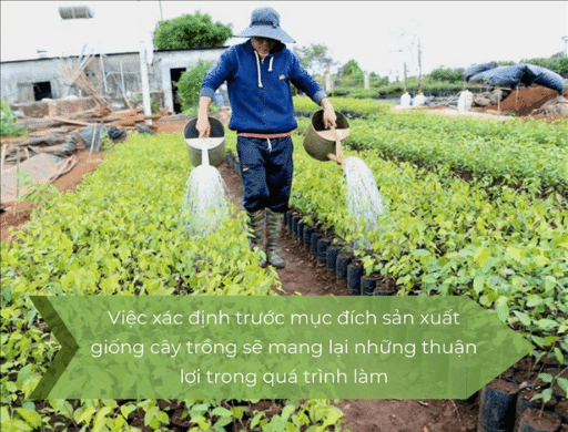 tuoi-nuoc-cay-trong