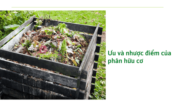 ưu-và-nhược-điểm-của-phân-hữu-cơ