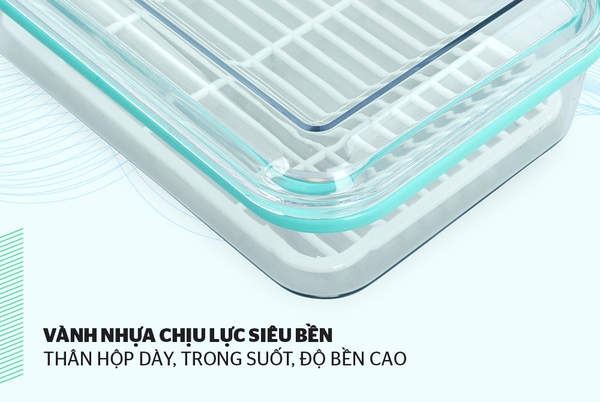 Hộp Bảo Quản Thực Phẩm Ngăn Đông Biozone 600ml, KB-FR600S