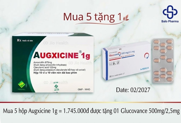 mua-5hop-augxicine-1g-1-745-000d-duoc-tang-01-glucovance-500mg-2-5mg