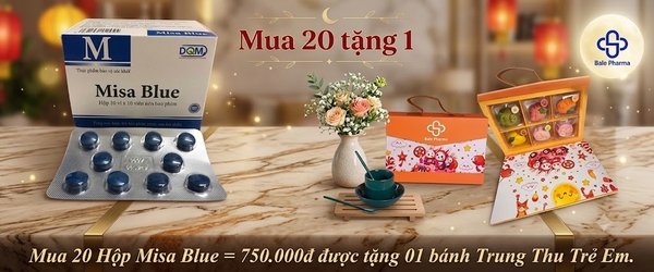 mua-20-hop-misa-blue-750-000d-duoc-tang-01-banh-trung-thu-tre-em