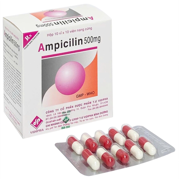 ampicilin-500mg-vidipha-h-100v