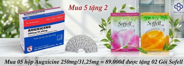 mua-05hop-augxicine-250mg-31-25mg-89-000d-duoc-tang-02-goi-sofell