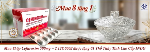 mua-8hop-cefuroxim-500mg-2-128-000d-duoc-tang-01-tho-thuy-tinh-cao-cap-indo