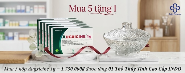 mua-5hop-augxicine-1g-1-730-000d-duoc-tang-01-tho-thuy-tinh-cao-cap-indo