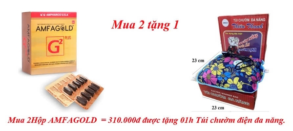mua-2hop-amfagold-310-000d-duoc-tang-01h-tui-chuom-dien-da-nang