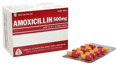 amoxicilin-500mg-mkp-h-100-vna