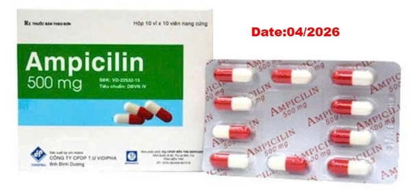 ampicilin-500mg-ben-tre-h-100v-nang
