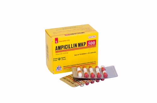 ampicillin-500mg-mekophar-h-100v