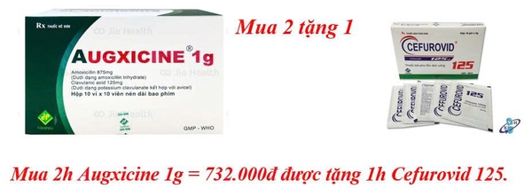 mua-2h-augxicine-1g-732-000d-duoc-tang-1h-cefurovid-125