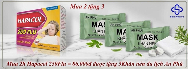 mua-2h-hapacol-250flu-86-000d-duoc-tang-3khan-nen-du-lich-an-phu