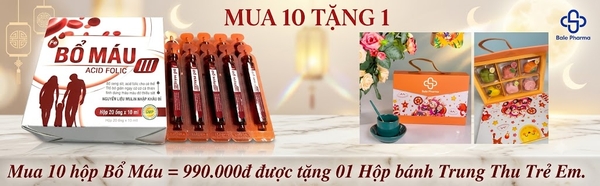 mua-10hop-bo-mau-990-000d-duoc-tang-01-hop-banh-trung-thu-tre-em