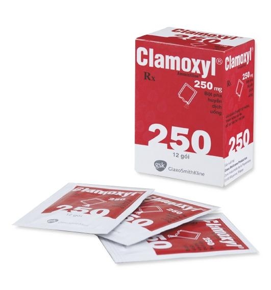 clamoxyl-amoxicilin-250mg-gsk-h-12g