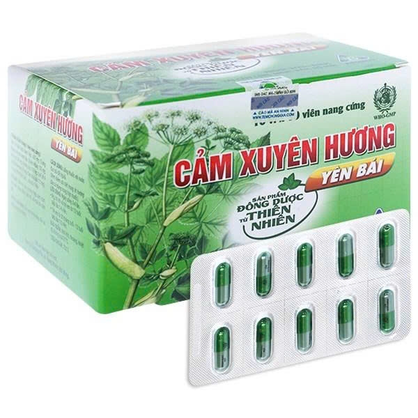 cam-xuyen-huong-yen-bai-ypharco-h-100v