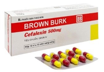 cefalexin-500mg-brown-burk-h-100v