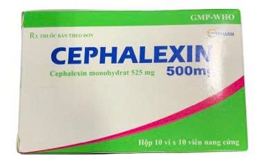cephalexin-500mg-s-pharm-h-100v