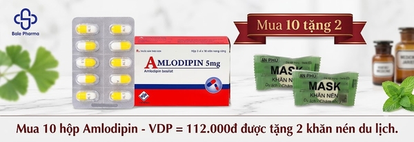 mua-10hop-amlodipin-vdp-112-000d-duoc-tang-2-khan-nen-du-lich
