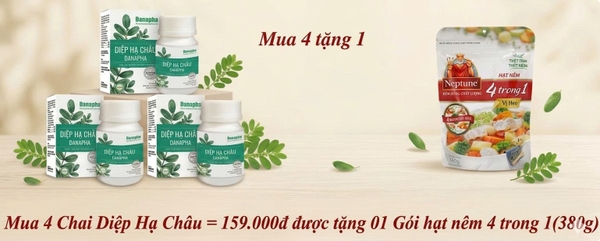 mua-4-chai-diep-ha-chau-159-000d-duoc-tang-01-goi-hat-nem-4-trong-1-380g
