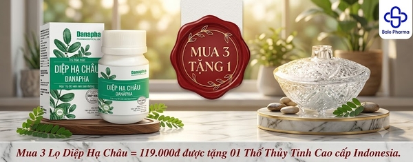 mua-3-lo-diep-ha-chau-119-000d-duoc-tang-01-tho-thuy-tinh-cao-cap-indonesia