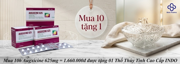 mua-10h-augxicine-625mg-1-660-000d-duoc-tang-01-tho-thuy-tinh-cao-cap-indo