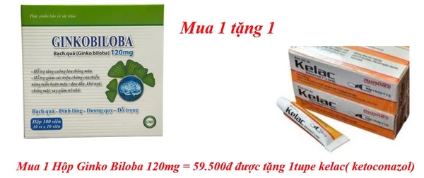 mua-1-hop-ginko-biloba-120mg-59-500d-duoc-tang-1tupe-kelac-ketoconazol