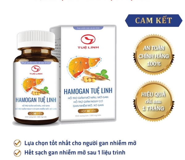 hamogan-tue-linh-hop-30-vien