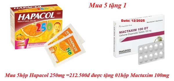 mua-5hop-hapacol-250mg-212-500d-duoc-tang-01hop-mactaxim-100mg
