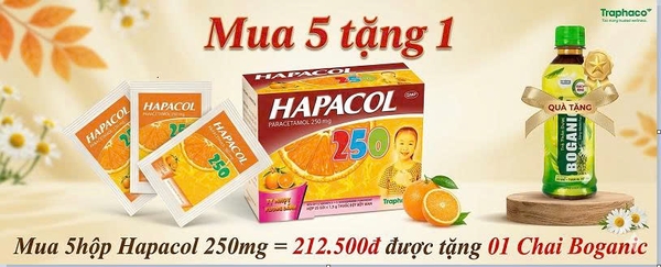 mua-5hop-hapacol-250mg-212-500d-duoc-tang-01-chai-boganic