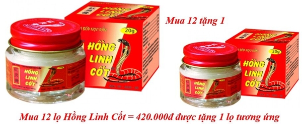 mua-12-lo-hong-linh-cot-420-000d-duoc-tang-1-lo-tuong-ung