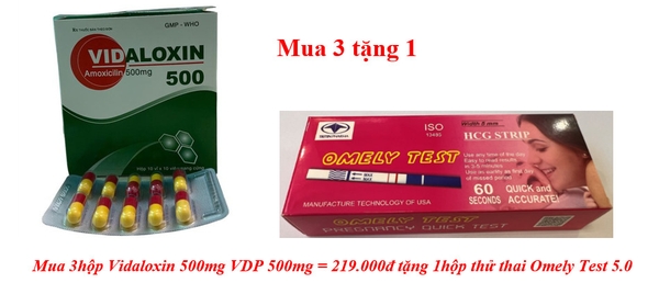 mua-3hop-vidaloxin-500mg-vdp-500mg-219-000d-tang-1hop-thu-thai-omely-test-5-0
