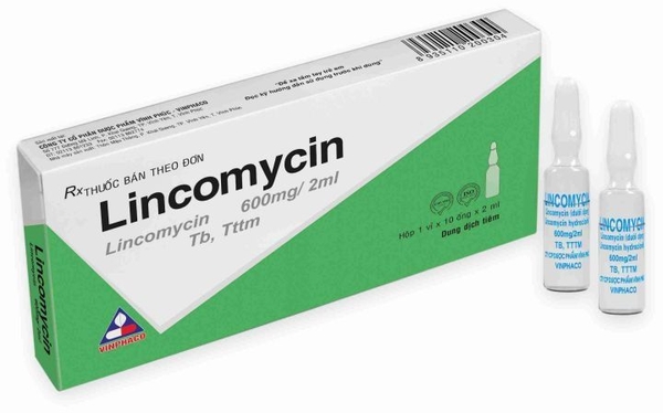 lincomycin-600mg-2ml-vinh-phuc-h-10o-2ml