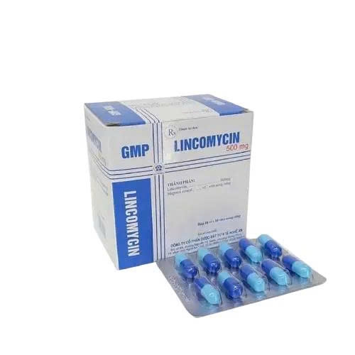 lincomycin-500mg-nghe-an-h-100v