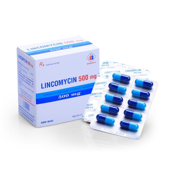 lincomycin-500mg-domesco-h-200v