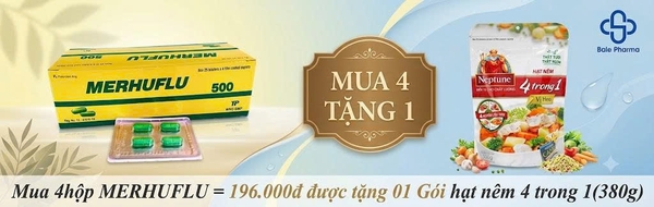 mua-4hop-merhuflu-196-000d-duoc-tang-01-goi-hat-nem-4-trong-1-380g