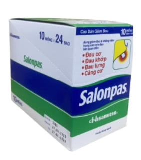 salonpas-dan-hisamitsu-h-24g-10mieng