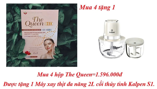 mua-4-hop-the-queen-1-596-000d-duoc-tang-1-may-xay-thit-da-nang-2l-coi-thuy-tinh
