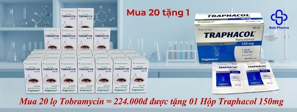 mua-20-lo-tobramycin-224-000d-duoc-tang-01-hop-traphacol-150mg