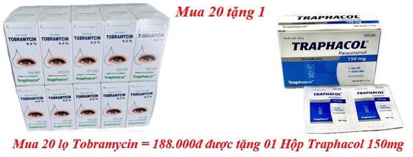 mua-20-lo-tobramycin-188-000d-duoc-tang-01-hop-traphacol-150mg