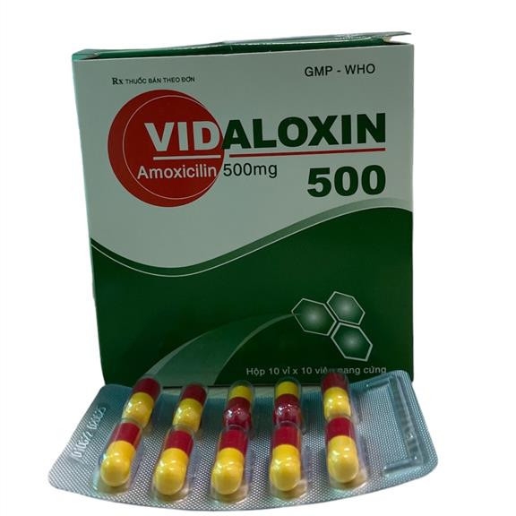 vidaloxin-amoxicillin-500mg-vidipha-h-100v