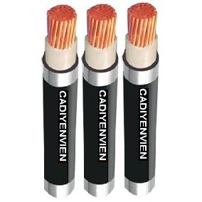 cap-1-loi-cxv