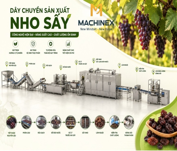 day-chuyen-san-xuat-nho-say